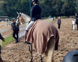 dressage horse Cornet's Carrieta (German Sport Horse, 2014, from Cornet Session)