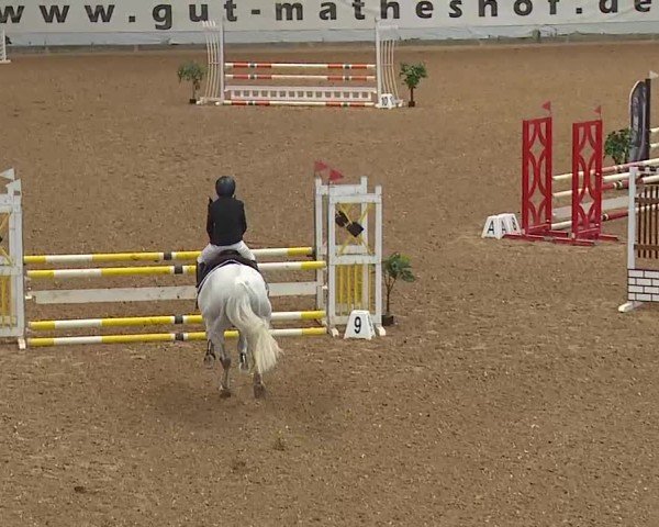 Reitturnier Kreuth/Opf. 2025