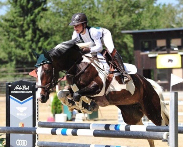 jumper Goldenpearl (German Warmblood, 2011, from Point)