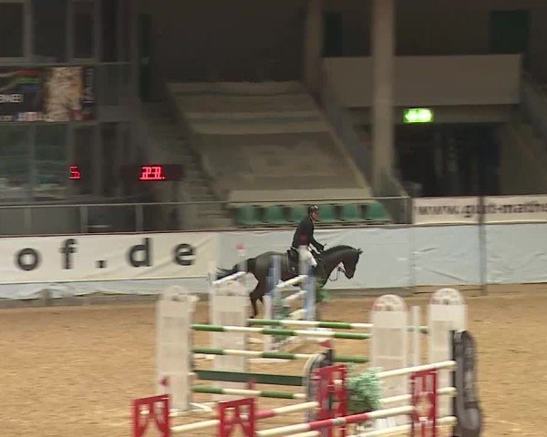 Reitturnier Kreuth/Opf. 2025