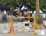 jumper Hurricane D.d. (KWPN (Royal Dutch Sporthorse), 2012, from Falaise de Muze)