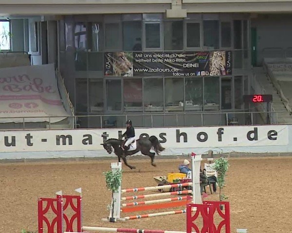 Reitturnier Kreuth/Opf. 2025