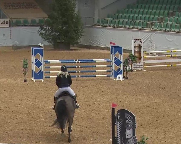 Reitturnier Kreuth/Opf. 2025