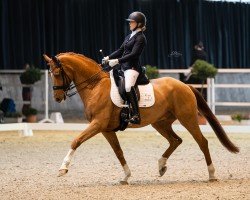 dressage horse Arturo F (Westphalian, 2015, from All At Once)