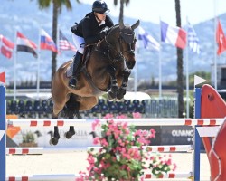 jumper Loverboy B (KWPN (Royal Dutch Sporthorse), 2016, from Elvis Ter Putte)