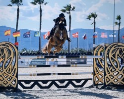 jumper Community 3 (Oldenburg show jumper, 2012, from Carrico)