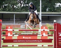 jumper Mailbox (Oldenburg show jumper, 2013, from HH Messenger)