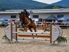 Springpferd Choupa de La Reselle CH (Schweizer Warmblut, 2016, von Chouchou de La Reselle CH)