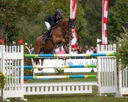 jumper Facebook 2 (Hanoverian, 2006, from For Edition)