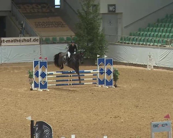 Reitturnier Kreuth/Opf. 2025