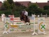 jumper Fairy Tale 33 (Oldenburg, 2011, from For Cornet)