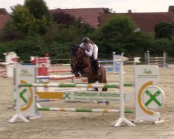 jumper Fairy Tale 33 (Oldenburg, 2011, from For Cornet)