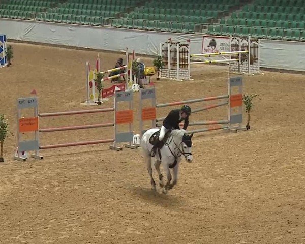 Reitturnier Kreuth/Opf. 2025