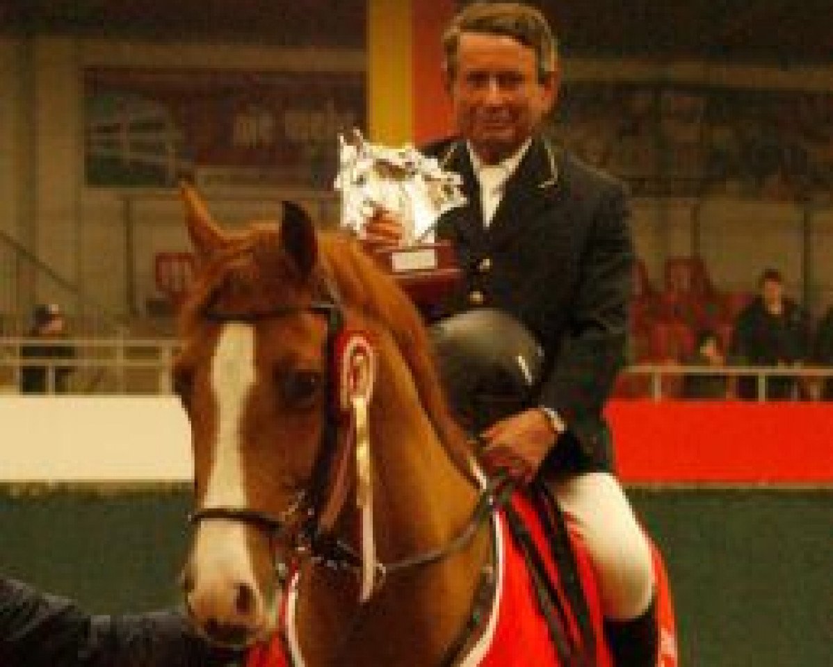 jumper C T (Holsteiner, 2004, from Casall Ask)