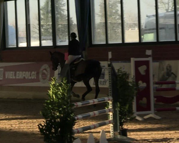 Reitturnier Heiden 2025