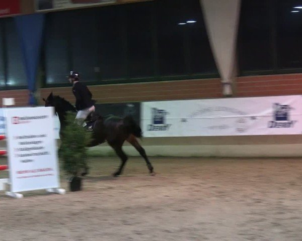 Reitturnier Heiden 2025