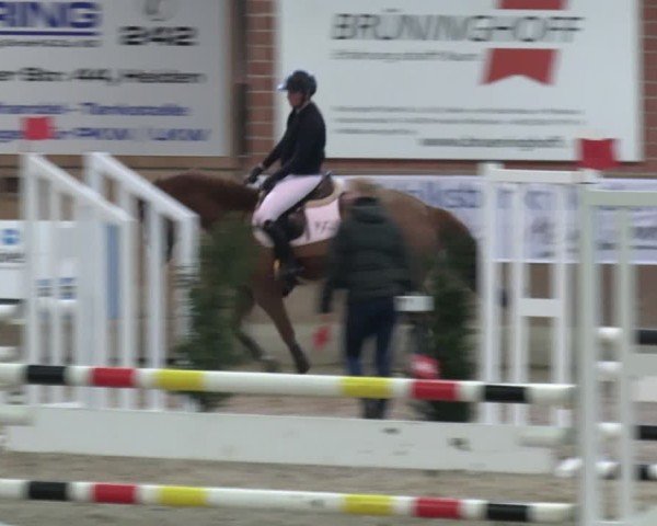 Reitturnier Heiden 2025