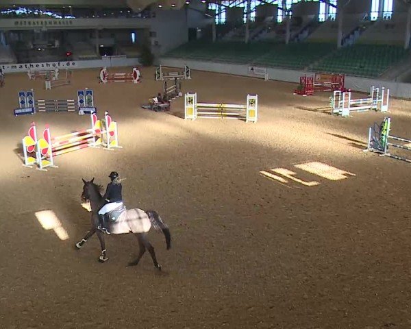 Reitturnier Kreuth/Opf. 2025