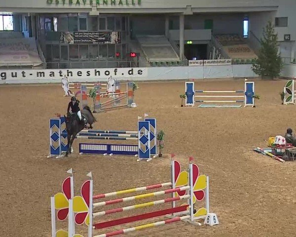 Reitturnier Kreuth/Opf. 2025