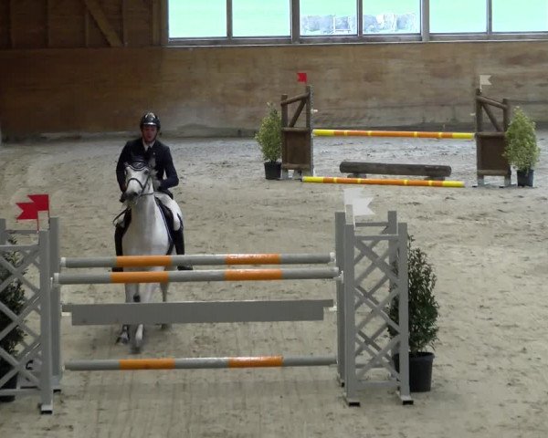 Reitturnier Rüti 2021