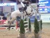 jumper Miss Moneypenny MJ (Holsteiner, 2018, from Million Dollar)