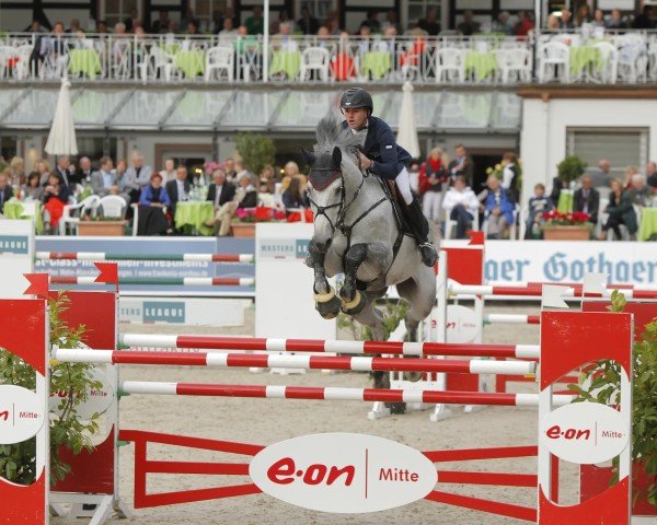 jumper Cento Star (Oldenburg show jumper, 2003, from Cento)