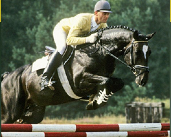 horse Ramiro's Son II (Holsteiner, 1990, from Ramiro Z)