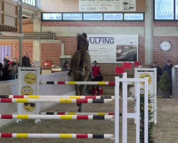 Reitturnier Heiden 2025