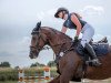 dressage horse Destiny's Dreaming (Hessian Warmblood, 2004, from Dartagnan)