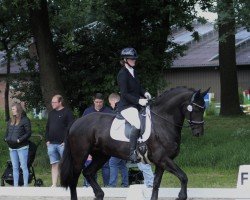 dressage horse Pretty Priska (Friese, 2011)