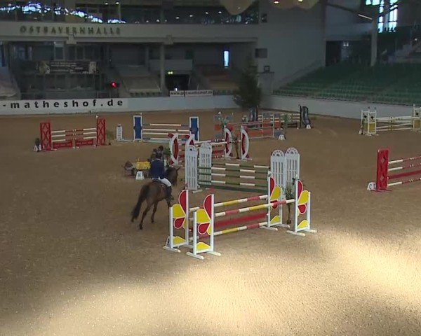 Reitturnier Kreuth/Opf. 2025