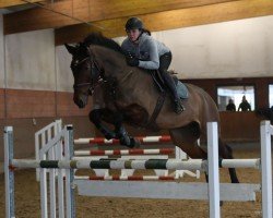 jumper Chewbacca LL (German Sport Horse, 2018, from Canoso)