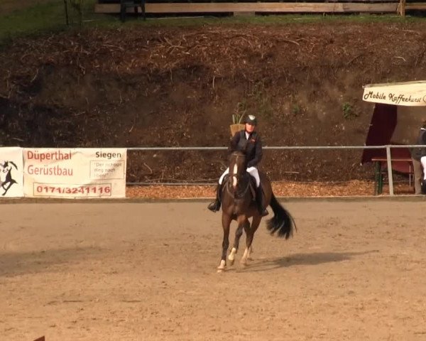 Großes Springturnier Siegener Reitverein 2013