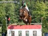 jumper Heavens Crump (Trakehner, 2002, from Kronerbe)