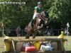 jumper Boheme N (German Riding Pony, 1999, from Bouquet AA)