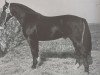 stallion Flakon Mo 1245 (Heavy Warmblood, 1965, from Flirt Mo 1173)