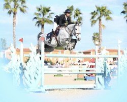 jumper Quirani van de Maltahoeve (Belgian Warmblood, 2016, from El Torreo de Muze)