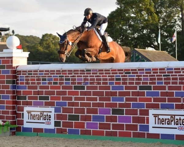 jumper Flamboyant III (KWPN (Royal Dutch Sporthorse), 2010, from VDL Cardento 933)