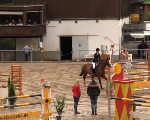 Großes Springturnier Siegener Reitverein 2013