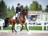 dressage horse Belcanto AJF (Hanoverian, 2010, from Belissimo NRW)