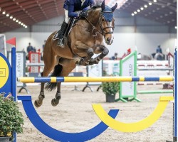 jumper Graniet ES (KWPN (Royal Dutch Sporthorse), 2011, from Flamenco de Semilly)