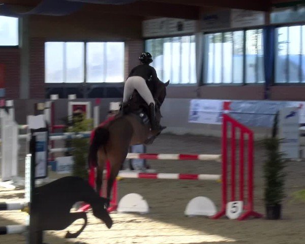 Reitturnier Heiden 2025