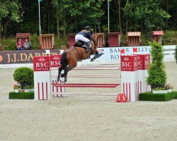 jumper Ballydonaghy Diamond Chip (Irish Sport Horse, 2003, from Chippison)