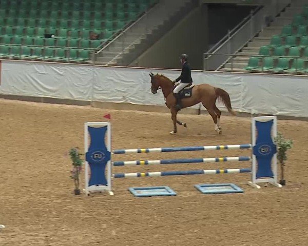Reitturnier Kreuth 2025