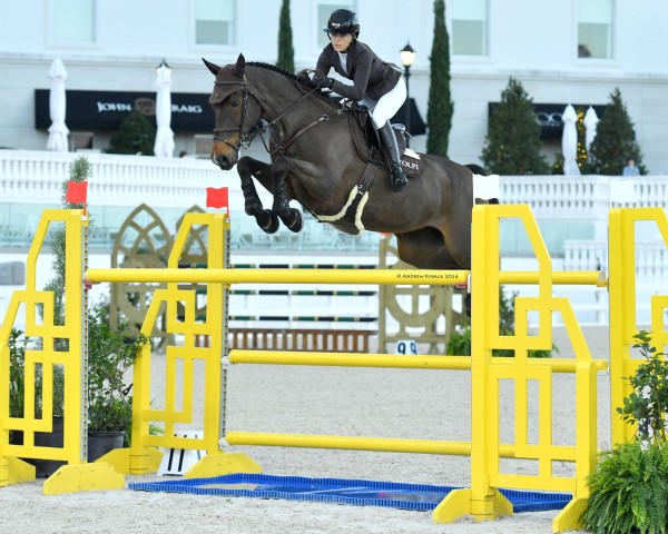 jumper Glamour (KWPN (Royal Dutch Sporthorse), 2011, from Numero Uno)