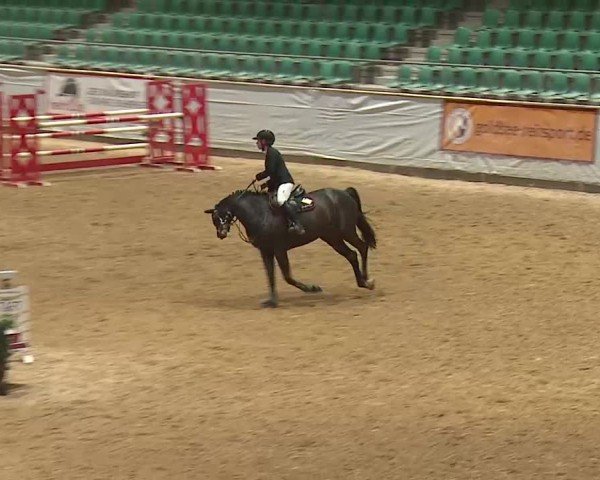 Reitturnier Kreuth 2025