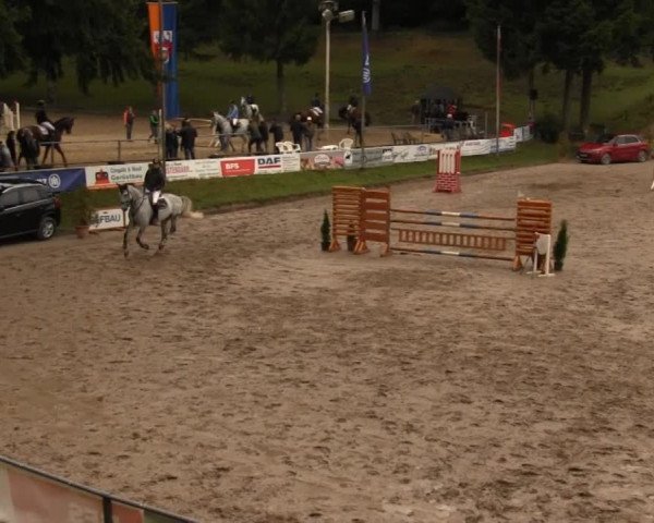 Großes Springturnier Siegener Reitverein 2013