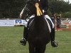 dressage horse Son'ne Süße (Westphalian, 2010, from Show Star)