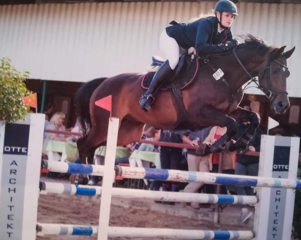 Springpferd Lucario 3 (KWPN (Niederländisches Warmblut), 2008, von Unitair)