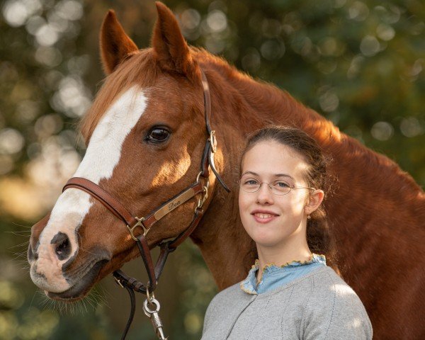 broodmare Duman (German Riding Pony, 2002, from Going Top)